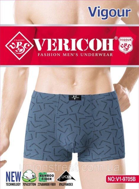 Чоловічі труси-боксери Vericoh (XL-4XL) V1-9705B фото