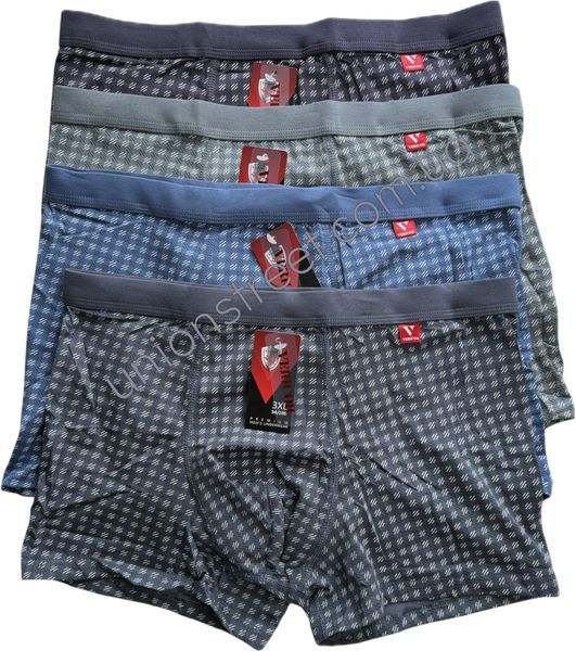 Чоловічі труси-боксери Vericoh Premium (2XL-4XL) V7C-7330BТ фото